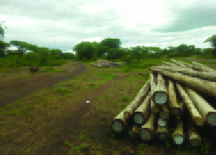 Environmental, Social and Resettlement Assessment – Turnkey III Rural Electrification